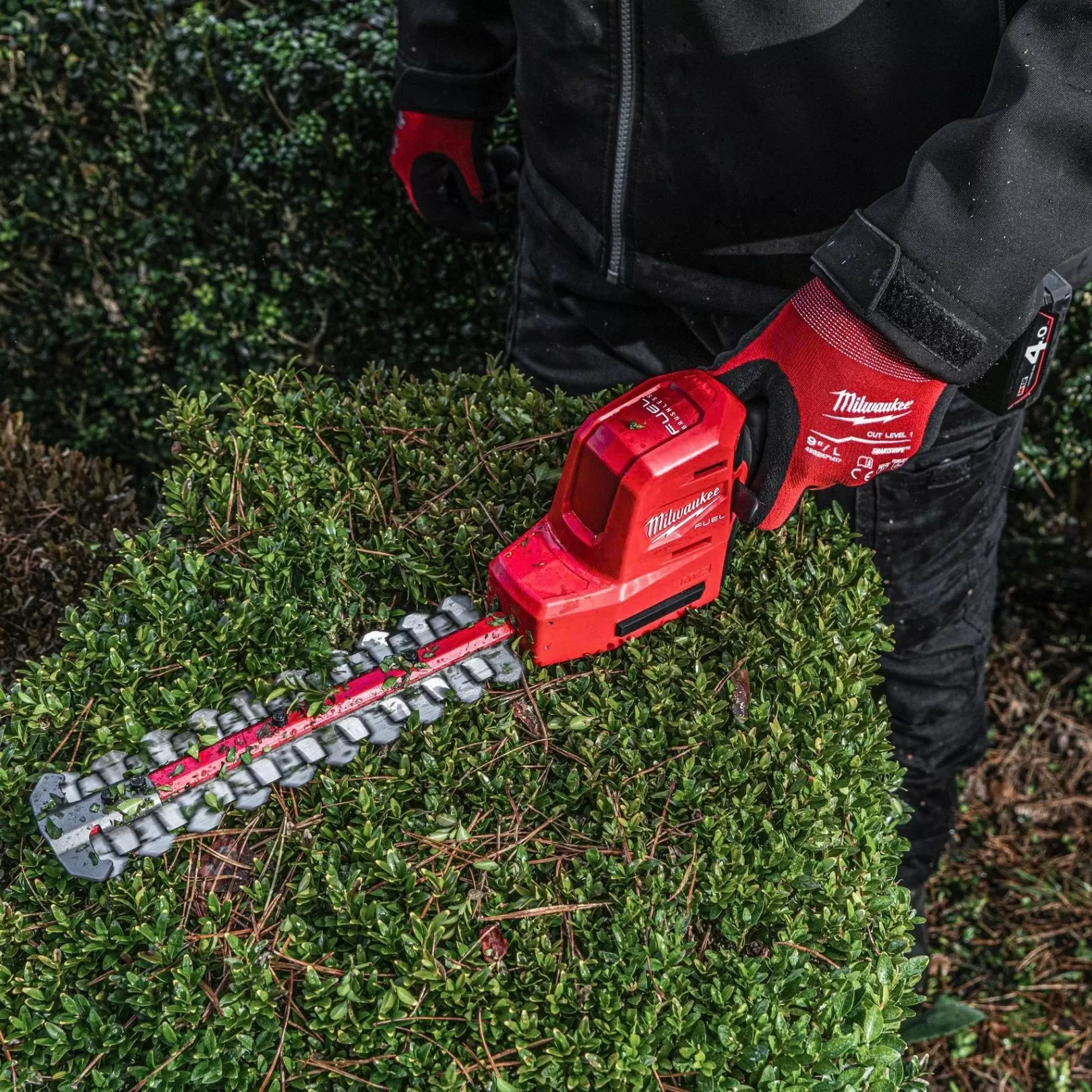 Máy Tỉa Hàng Rào Milwaukee M12 FHT20-0