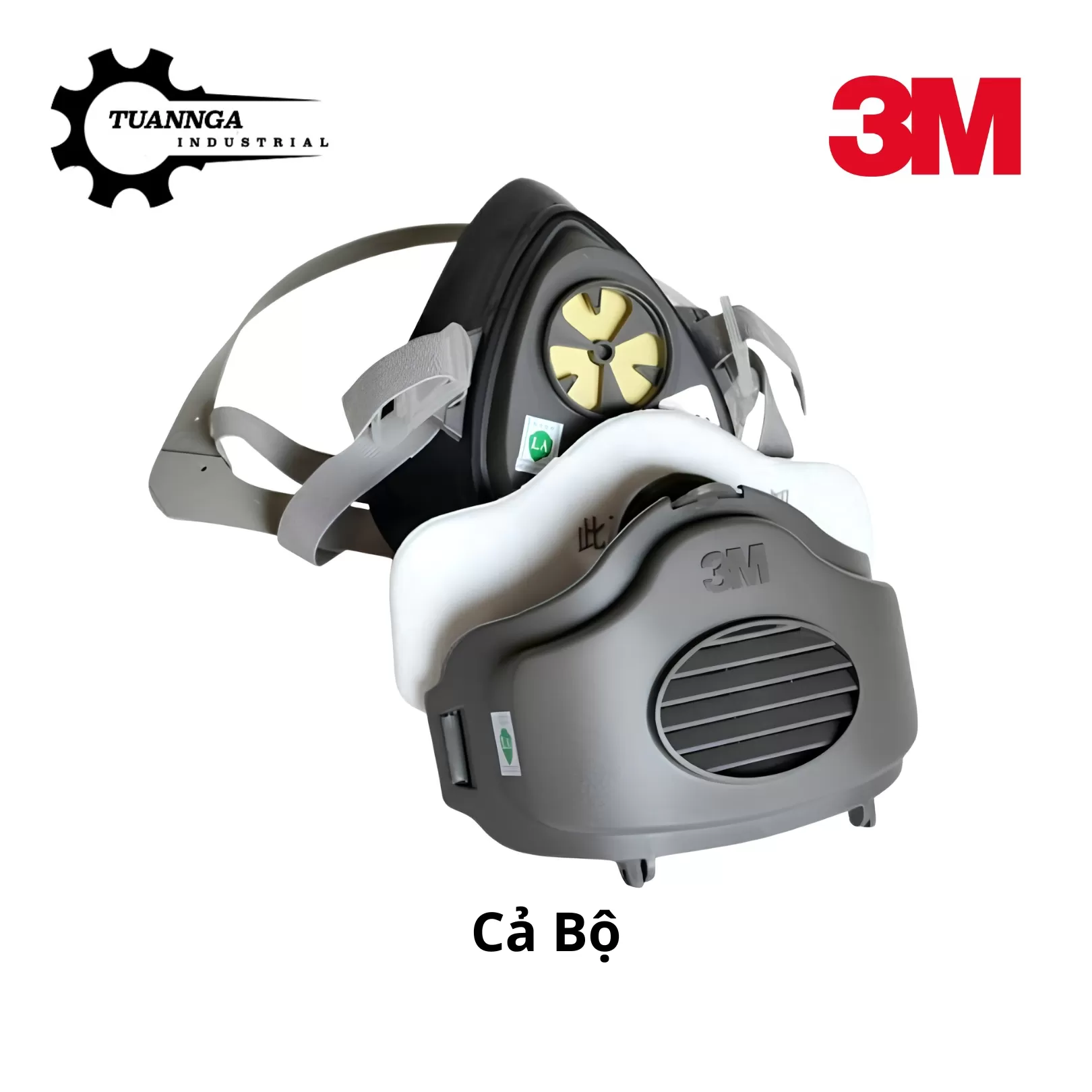 Tấm Lọc Bụi 3M 1744C Chuẩn P2 (10 Tấm Lọc)